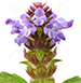 Self Heal